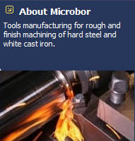 Microbor